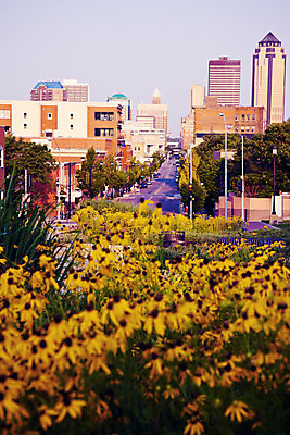 포토 JPG 해외이미지 여행 아침 사람없음 건물 사무실 고층빌딩 도시 도심 스카이라인 해외202004 해외포토 주간 건축물 비즈니스 빌딩 파일형식 이미지허브