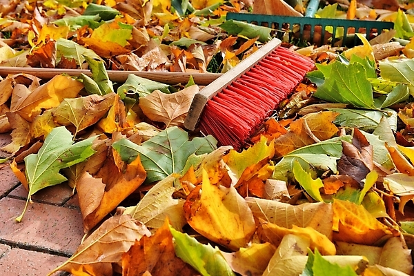 포토 JPG 해외이미지 나무 잎 포장 자연 벽돌 사람없음 빨간색 초록색 컬러풀 갈색 노란색 정원 가을 숲 빗자루 대패 쓸기 해외202004 해외포토 식물 계절 컬러 청소도구 생태계 파일형식 이미지허브