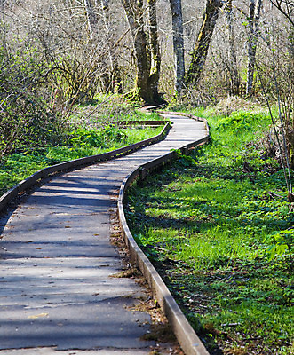 포토 JPG 해외이미지 나무 길 곡선 자연 건강 사람없음 야외 목재 초록색 걷기 맑음 봄 산책 하이킹 숲 해외202004 해외포토 식물 계절 선 컬러 재료 모션 레저 날씨 휴식 생태계 파일형식 이미지허브