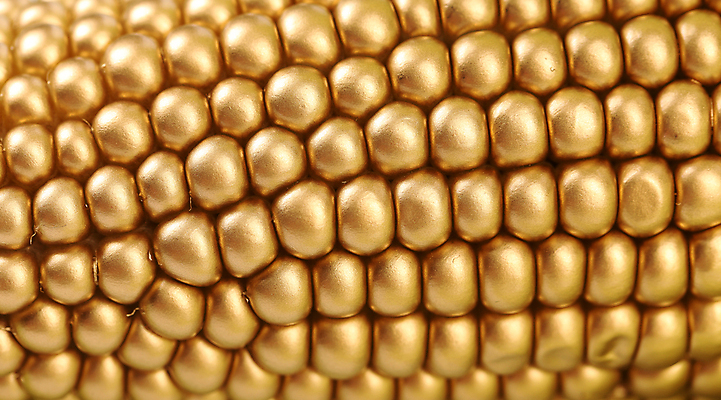 포토 JPG 해외이미지 음식 백그라운드 농업 다이어트 채소 과일 재료 건강 식이요법 옥수수 사람없음 여름 농작물 농장 식사 수확 껍질 가을 흰색 신선 황금 달콤 낟알 자르기 먹기 알맹이 날것 귀 팝콘 내추럴 고립 밭일 숙성 채식주의자 팝 해외202004 해외포토 계절 산업 컬러 모션 곡류 신체부위 맛 채식 파일형식 이미지허브