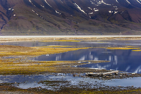 포토 JPG 해외이미지 구름 계절 바다 여행 자연 날씨 풍경 사람없음 야외 물 여름 파란색 사막 안개 가을 조약돌 만 크루즈 망토 9월 북극 장면 북쪽 멀리 그린란드 생태학 심각 원정 해외202004 해외포토 자연요소 교육 컬러 섬 컨셉 배_교통 덴마크 돌_바위 날짜 극지방 방향 생태계 파일형식 이미지허브