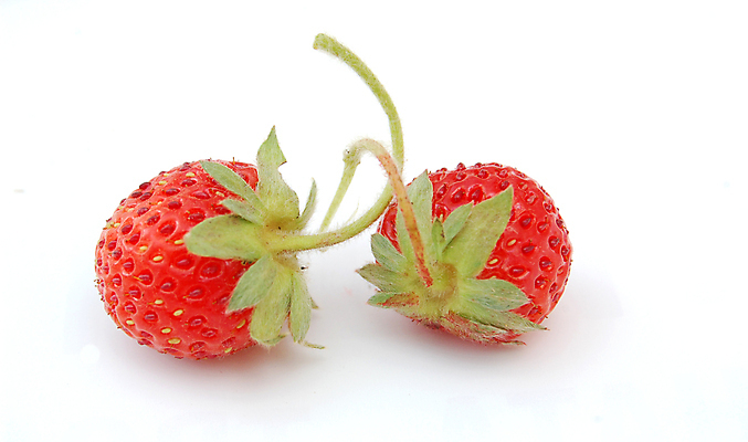 포토 JPG 해외이미지 식물 열매 음식 농업 다이어트 과일 자연 딸기 디저트 건강 사람없음 빨간색 활발 신선 달콤 맛 유기농 내추럴 숙성 식용 채식주의자 해외202004 해외포토 웰빙 산업 컬러 컨셉 생태계 채식 파일형식 이미지허브