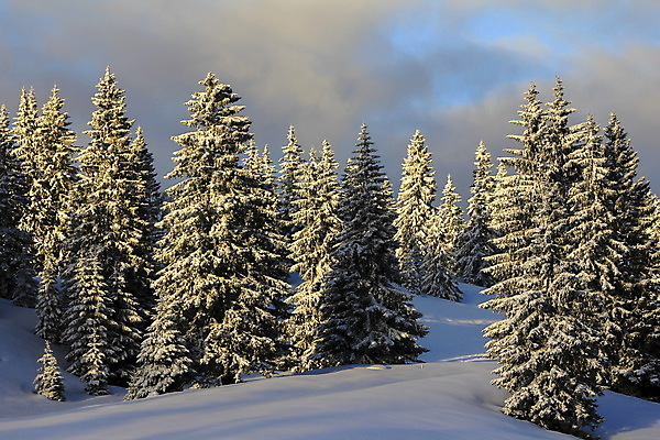 포토 JPG 해외이미지 구름 계절 스포츠 여행 겨울 자연 하늘 불 휴가 스키 산 풍경 사람없음 야외 물 파란색 태양 얼음 추위 흰색 숲 알프스 눈내림 해외202004 해외포토 자연요소 유럽 컬러 겨울스포츠 눈_날씨 생태계 파일형식 이미지허브