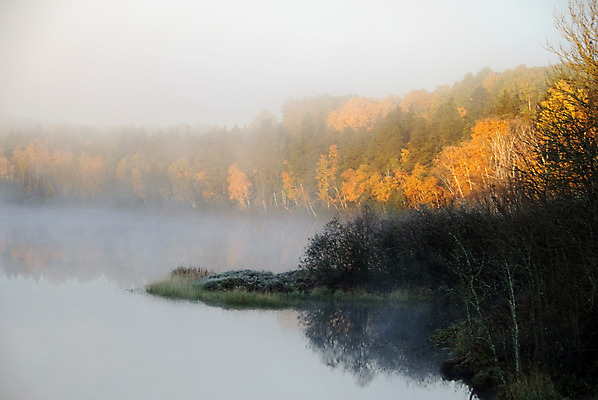 포토 JPG 해외이미지 나무 잎 자연 사람없음 초록색 물 강 일출 환경 가을 개울 황무지 숲 내추럴 해외202004 해외포토 자연요소 식물 계절 컬러 노을 생태계 파일형식 이미지허브