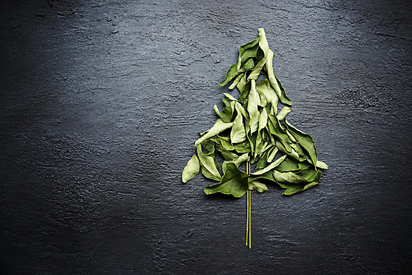 포토 JPG 해외이미지 식물 백그라운드 잎 재료 자연 건조 건강 요리 동양인 사람없음 초록색 빛 약 쌓기 어둠 양념 조미료 그룹 닫기 맛 인도인 허브 향신료 유기농 매움 향기 아로마 향 카레 아로마테라피 흙더미 내추럴 이국적 해외202004 해외포토 외국인 웰빙 음식 컬러 컨셉 의학 모션 인종 흙 생태계 냄새 테라피 향미료 파일형식 더미 이미지허브