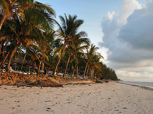 포토 JPG 해외이미지 나무 동물 구름 공원 꽃 야생동물 음식 여행 백그라운드 포유류 아프리카 자연 하늘 코끼리 풍경 사람없음 빨간색 초록색 물 파란색 청춘 일몰 아기 기린 케냐 사바나 해외202004 해외포토 자연요소 식물 공공시설 나라 컬러 컨셉 사람 노을 생태계 파일형식 이미지허브