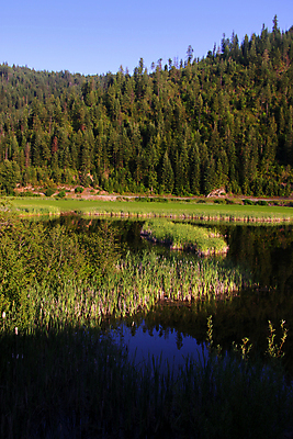 포토 JPG 해외이미지 나무 호수 여행 자국 자연 휴가 스키 휴식 산 항해 기술 풍경 사람없음 야외 물 여름 파란색 강 여행객 소나무 언덕 휴양지 암초 북쪽 상록수 내추럴 해외202004 해외포토 자연요소 식물 계절 컬러 컨셉 배_교통 겨울스포츠 사람 장소 방향 생태계 파일형식 이미지허브