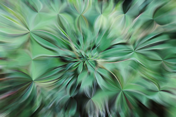 포토 JPG 해외이미지 선 백그라운드 곡선 추상 사람없음 컬러풀 검은색 어둠 센터 섬유 해외202004 해외포토 컬러 무늬 직물 파일형식 이미지허브