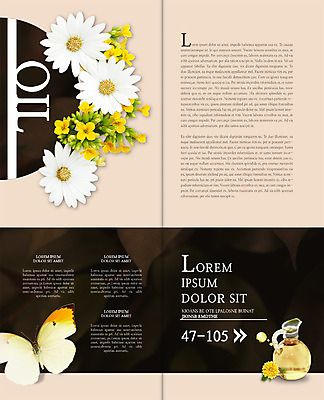 PSD 템플릿 편집 표지디자인 북디자인 출판디자인 꽃 내지 리플렛 나비 2단접지 북커버 팜플렛 사람없음 뷰티 꿀 이미지템플릿 식물 곤충 파일형식