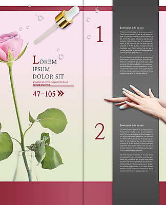 PSD 템플릿 편집 표지디자인 북디자인 손 출판디자인 여자 내지 리플렛 2단접지 북커버 한명 팜플렛 신체부위 뷰티 장미 화장품 양손 이미지템플릿 1 꽃 사람 파일형식