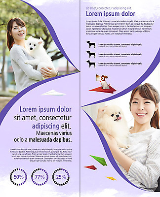 PSD 템플릿 편집 표지디자인 북디자인 출판디자인 여자 내지 리플렛 2단접지 북커버 안기 세마리 미소 팜플렛 상반신 20대 성인 두명 앞모습 반려동물 한국인 강아지 종이비행기 반려 이미지템플릿 동물 뷰포인트 모션 표정 3 사람 동양인 청년 개 종이접기 파일형식