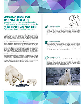 PSD 템플릿 편집 표지디자인 북디자인 출판디자인 내지 리플렛 2단접지 북커버 여러마리 팜플렛 사람없음 환경오염 오염 캔 삼각형 북극곰 백곰 이미지템플릿 도형 다수 컨셉 곰 파일형식