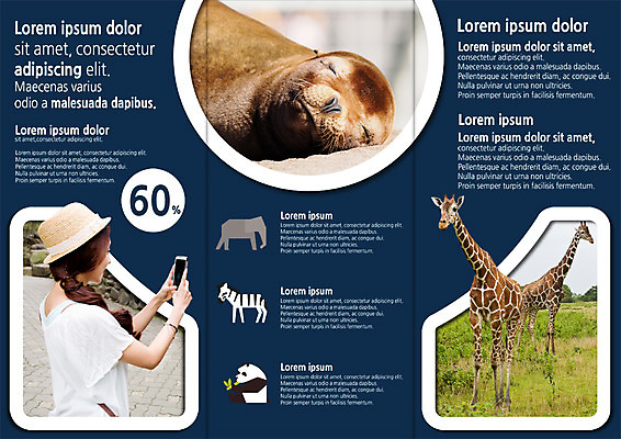 PSD 템플릿 편집 표지디자인 북디자인 출판디자인 여자 내지 리플렛 여행 북커버 3단접지 코끼리 동물원 한명 서기 들기 팜플렛 상반신 20대 성인 옆모습 스마트폰 한국인 물개 기린 얼룩말 레서판다 이미지템플릿 1 뷰포인트 포유류 모션 사람 동양인 청년 핸드폰 스마트기기 바다동물 말_동물 파일형식