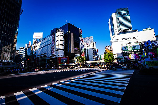 포토 JPG 주간 도로 사람 풍경 빌딩 여러명 야외 건물 일본 도시 횡단보도 도쿄 군중 시부야 국내포토 자연요소 건축물 아시아 길 다수 교통시설 보행로 파일형식