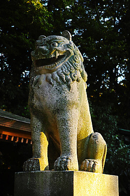 포토 JPG 주간 사람없음 야외 일본 사자 석상 에히메 국내포토 자연요소 아시아 포유류 파일형식