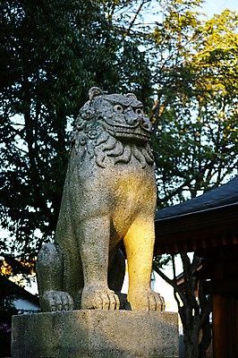 포토 JPG 주간 사람없음 야외 일본 사자 석상 에히메 국내포토 자연요소 아시아 포유류 파일형식