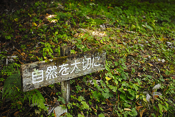 포토 JPG 주간 식물 안내 사람없음 야외 일본 표지판 숲 땅 일본어 나가노 국내포토 자연요소 문자 아시아 알림판 파일형식
