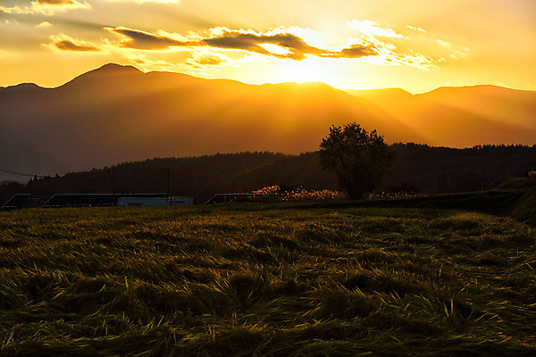 포토 JPG 주간 구름 자연 하늘 산 풍경 잔디 사람없음 야외 일출 일본 일몰 나가노 국내포토 자연요소 식물 아시아 노을 생태계 파일형식