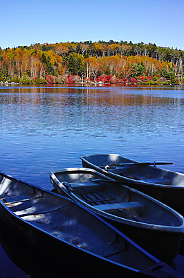 포토 JPG 주간 나무 호수 단풍 하늘 단풍나무 풍경 사람없음 야외 강 일본 가을 세척 숲 나룻배 나가노 국내포토 자연요소 식물 계절 아시아 잎 배_교통 3 파일형식