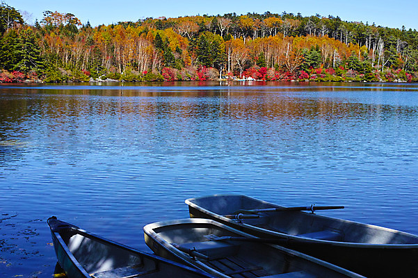 포토 JPG 주간 나무 호수 단풍 하늘 단풍나무 풍경 사람없음 야외 강 일본 가을 세척 숲 나룻배 나가노 국내포토 자연요소 식물 계절 아시아 잎 배_교통 3 파일형식