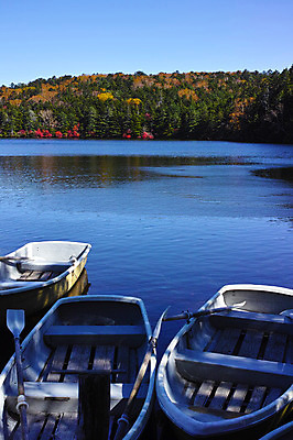 포토 JPG 주간 나무 호수 단풍 하늘 단풍나무 풍경 사람없음 야외 강 일본 가을 세척 숲 나룻배 나가노 국내포토 자연요소 식물 계절 아시아 잎 배_교통 3 파일형식
