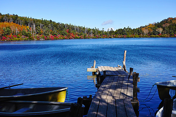 포토 JPG 주간 나무 호수 단풍 하늘 단풍나무 풍경 사람없음 야외 강 일본 가을 숲 나룻배 나무다리 여러척 나가노 국내포토 자연요소 식물 계절 아시아 다수 잎 배_교통 다리_건축물 파일형식