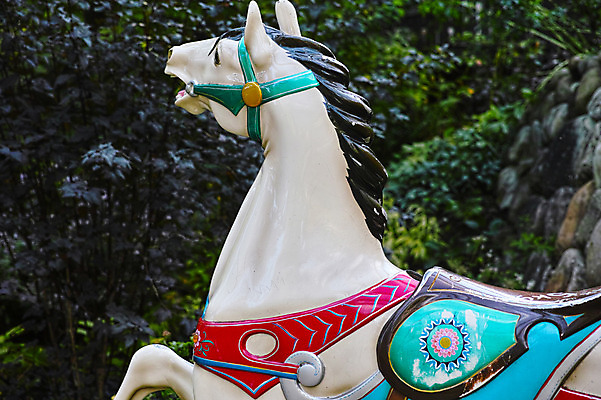 포토 JPG 주간 한마리 사람없음 야외 일본 말_동물 목마 회전목마 안장 야마나시 국내포토 자연요소 1 아시아 포유류 놀이기구 파일형식