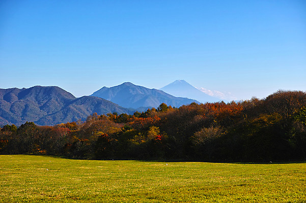 포토 JPG 주간 나무 자연 하늘 산 풍경 잔디 초원 사람없음 야외 일본 숲 야마나시 국내포토 자연요소 식물 아시아 생태계 파일형식