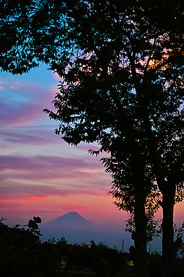 포토 JPG 주간 나무 구름 실루엣 자연 하늘 풍경 사람없음 야외 일본 일몰 두그루 야마나시 국내포토 자연요소 식물 아시아 2 촬영기법 노을 생태계 파일형식