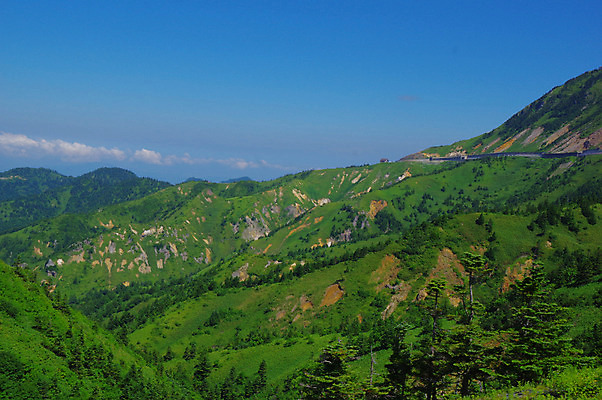 포토 JPG 주간 나무 자연 하늘 산 풍경 사람없음 야외 초록색 일본 국내포토 자연요소 식물 아시아 컬러 생태계 파일형식