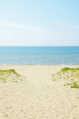 포토 JPG 주간 바다 자연 하늘 풍경 해변 사람없음 야외 모래사장 수평선 국내포토 자연요소 생태계 파일형식