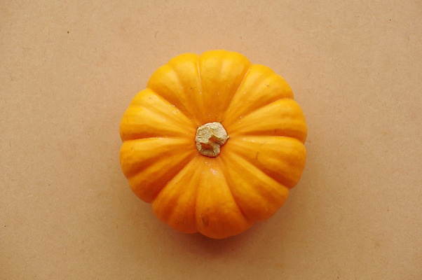 포토 JPG 호박 사람없음 하이앵글 한개 늙은호박 국내포토 1 뷰포인트 채소 파일형식