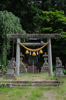 포토 JPG 주간 나무 밧줄 불교 사람없음 야외 계단 일본 사찰 석탑 토리이 국내포토 자연요소 식물 아시아 종교 줄 종교건축 탑 신사_건축물 파일형식