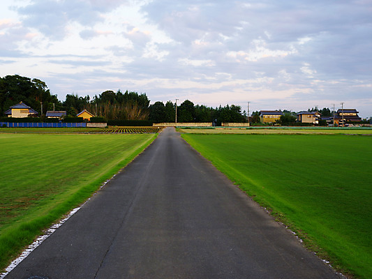 포토 JPG 주간 구름 도로 하늘 주택 풍경 잔디 초원 사람없음 야외 마을 일본 시골 국내포토 자연요소 식물 아시아 길 교통시설 건물 파일형식