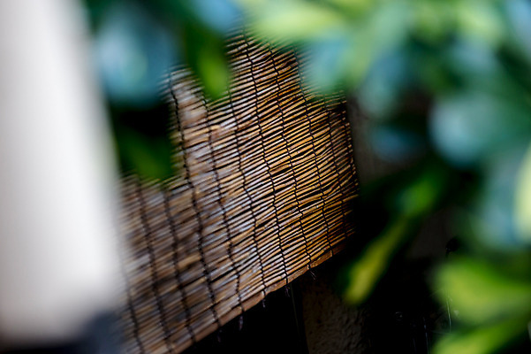 포토 JPG 주간 사람없음 야외 아웃포커스 일본 대나무발 오사카 국내포토 자연요소 아시아 촬영기법 파일형식