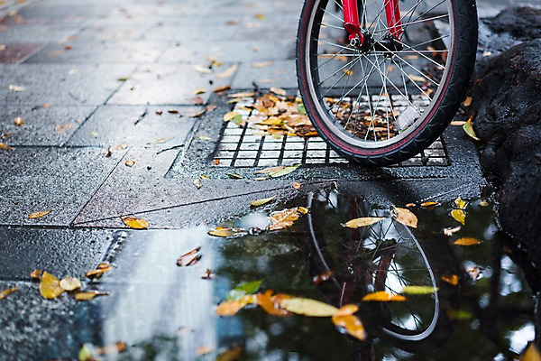 포토 JPG 낙엽 나뭇잎 바닥 사람없음 반사 자전거 가을 도시 바퀴 비 보행로 땅 웅덩이 콘크리트 국내포토 자연요소 계절 길 잎 날씨 바이크 파일형식
