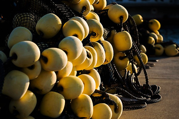 포토 JPG 주간 밧줄 그림자 사람없음 야외 그물 오브젝트 국내포토 자연요소 줄 파일형식