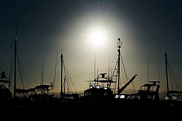 포토 JPG 실루엣 바다 하늘 풍경 사람없음 야외 빛 일본 어선 야간 여러척 국내포토 자연요소 아시아 다수 배_교통 촬영기법 파일형식