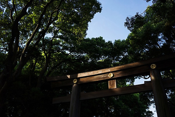포토 JPG 주간 나무 불교 하늘 사람없음 야외 목재 일본 숲 토리이 국내포토 자연요소 식물 아시아 종교 재료 신사_건축물 파일형식