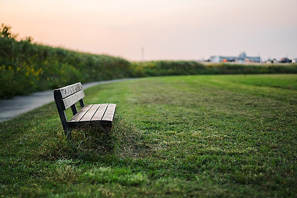 포토 JPG 주간 벤치 잔디 사람없음 야외 운동장 축구장 국내포토 자연요소 식물 의자 스포츠시설 공간 파일형식