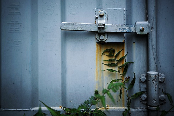 포토 JPG 식물 잎 사람없음 문 일본 도쿄 잠금 철문 국내포토 아시아 보안 파일형식