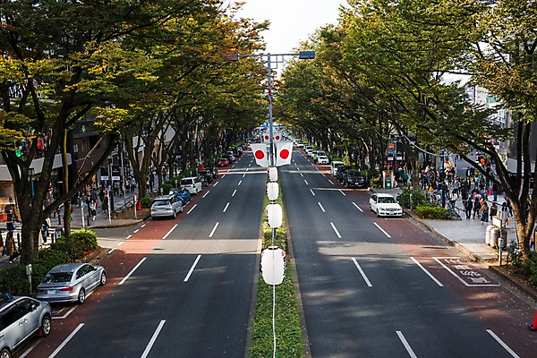 포토 JPG 주간 나무 도로 가로등 승용차 사람 풍경 여러명 야외 일본 깃발 도시 도쿄 군중 연등 일장기 국내포토 자연요소 식물 공공시설 아시아 길 다수 교통시설 자동차 등불 국기 불교용품 파일형식