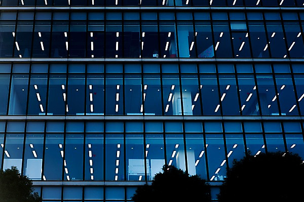 포토 JPG 주간 나무 창문 빌딩 사람없음 야외 건물 일본 도쿄 형광등 국내포토 자연요소 식물 건축물 아시아 전등 파일형식