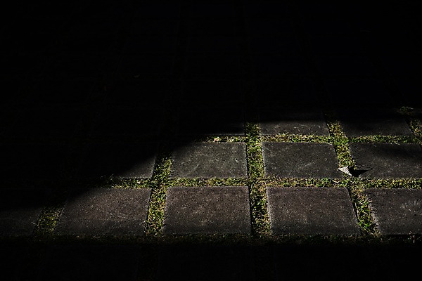 포토 JPG 바닥 사람없음 야외 일본 어둠 도쿄 야간 땅 타일 국내포토 자연요소 아시아 파일형식