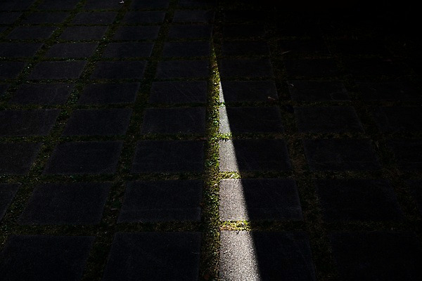 포토 JPG 바닥 사람없음 야외 일본 어둠 도쿄 야간 땅 타일 국내포토 자연요소 아시아 파일형식