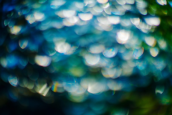 포토 JPG 백그라운드 사람없음 초록색 파란색 보케 국내포토 컬러 파일형식