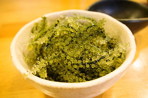 포토 JPG 그릇 음식 식재료 사람없음 초록색 알 날치알 일본음식 국내포토 식기 컬러 파일형식