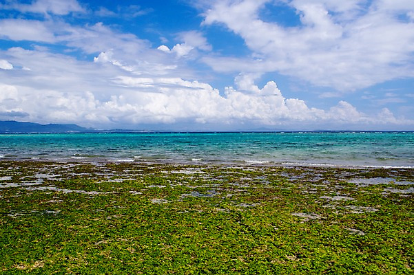 포토 JPG 주간 구름 바다 자연 하늘 풍경 해변 사람없음 야외 일본 이에섬 국내포토 자연요소 아시아 섬 생태계 오키나와 파일형식