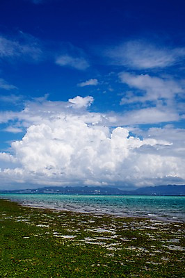 포토 JPG 주간 구름 바다 자연 하늘 풍경 해변 사람없음 야외 일본 이에섬 국내포토 자연요소 아시아 섬 생태계 오키나와 파일형식