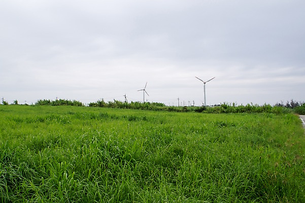 포토 JPG 주간 식물 하늘 풍경 사람없음 야외 초록색 일본 풀 풍력기 이에섬 국내포토 자연요소 아시아 컬러 섬 풍력에너지 오키나와 파일형식